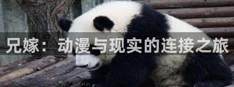 动漫天堂91：兄嫁：动漫与现实的连接之旅