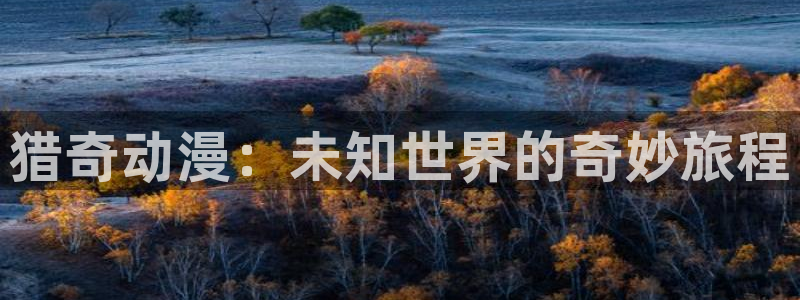 免费a漫动漫天堂.：猎奇动漫：未知世界的奇妙旅程