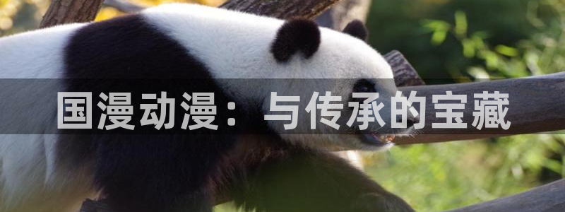 秋叶原动漫天堂：国漫动漫：与传承的宝藏