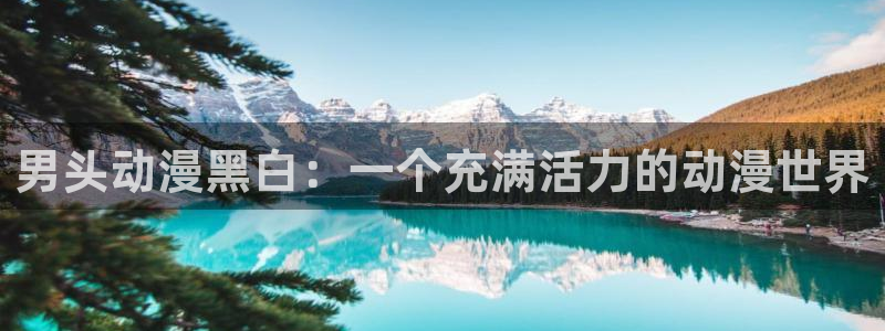 动漫天堂cc：男头动漫黑白：一个充满活力的动漫世界