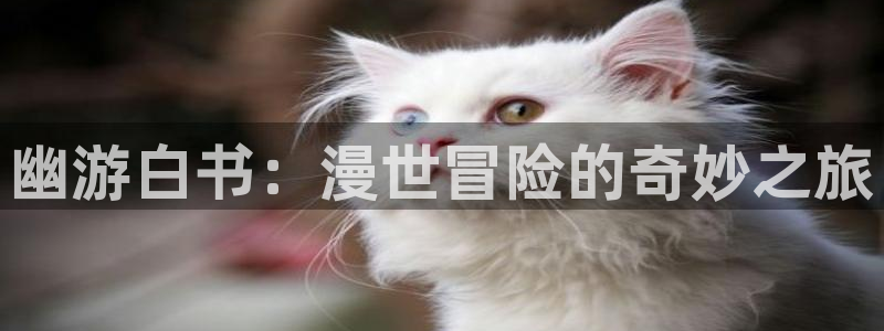 18动漫天堂：幽游白书：漫世冒险的奇妙之旅