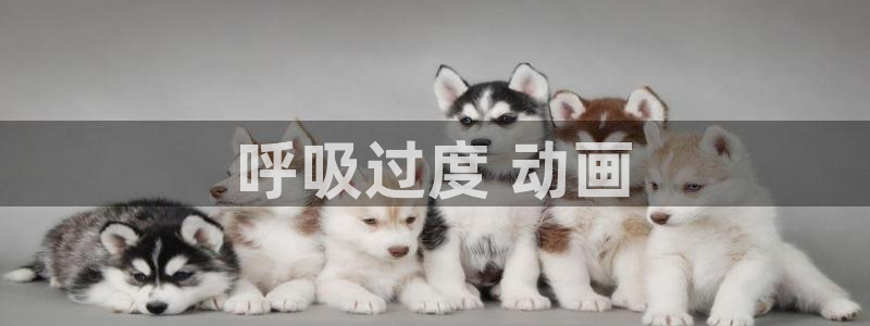 动漫天堂3d：呼吸过度 动画