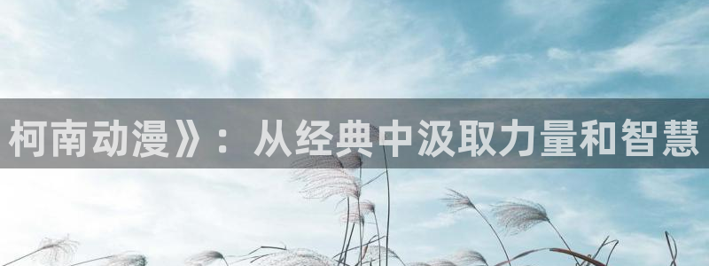 动漫天堂18：柯南动漫》：从经典中汲取力量和智慧