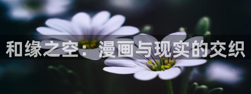 91动漫天堂：和缘之空：漫画与现实的交织