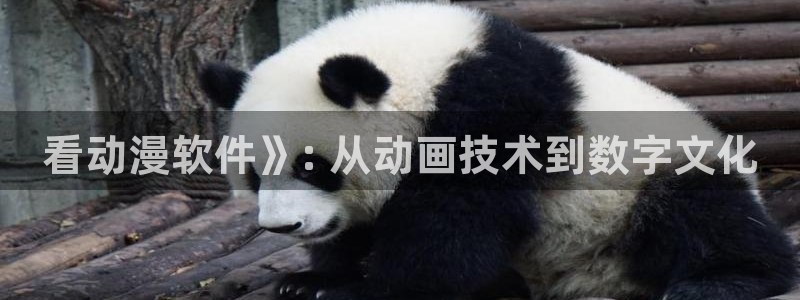 成人动漫天堂：看动漫软件》: 从动画技术到数字文化