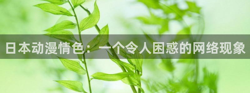 动漫天堂免费观看：日本动漫情色：一个令人困惑的网络现象