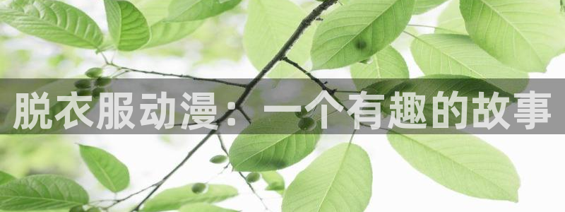 亚洲动漫天堂：脱衣服动漫：一个有趣的故事