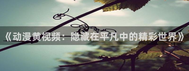 动漫天堂.：《动漫黄视频：隐藏在平凡中的精彩世界》