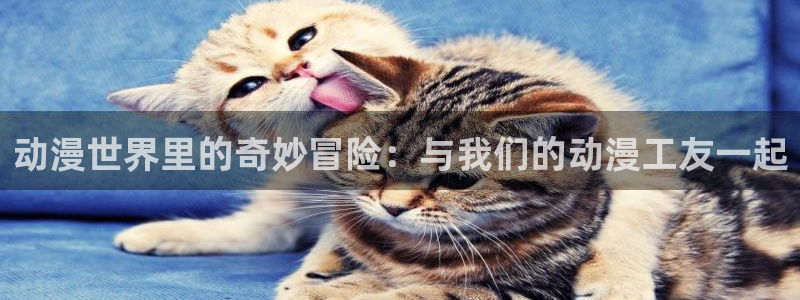动漫天堂岛：动漫世界里的奇妙冒险：与我们的动漫工友一起