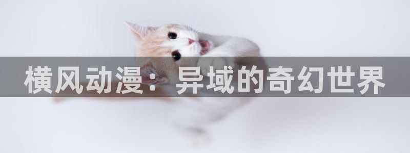 18禁动漫天堂：横风动漫：异域的奇幻世界