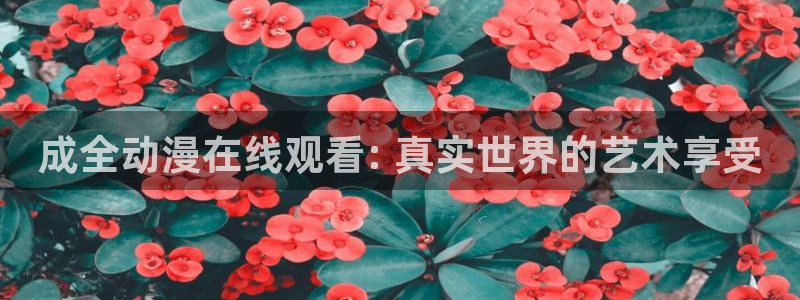 18禁动漫天堂：成全动漫在线观看: 真实世界的艺术享受