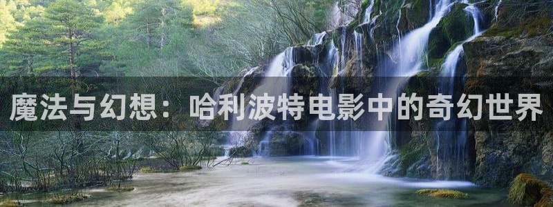 动漫天堂免费在线观看：魔法与幻想：哈利波特电影中的奇幻世界