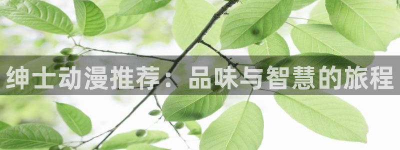 动漫天堂18：绅士动漫推荐：品味与智慧的旅程