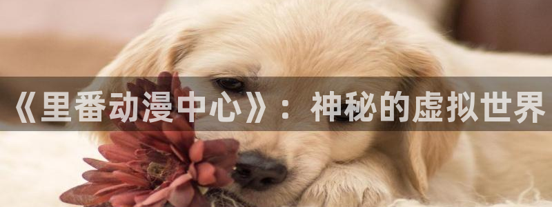 动漫天堂.：《里番动漫中心》：神秘的虚拟世界