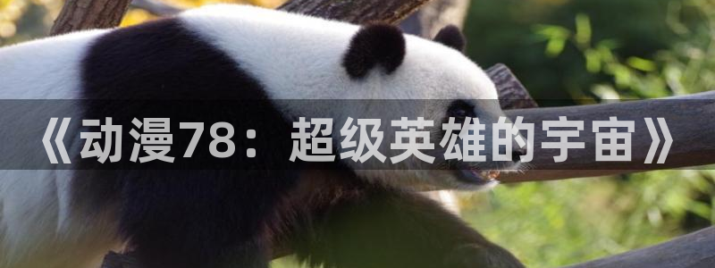 动漫天堂之吻：《动漫78：超级英雄的宇宙》